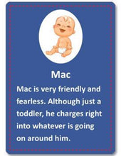 Load image into Gallery viewer, FLIP! Card Game